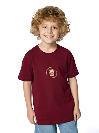 Galatasaray Gerçekleri Tarih Yazar Çocuk T-shirt C251392