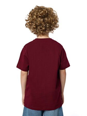 Galatasaray Gerçekleri Tarih Yazar Çocuk T-shirt C251392