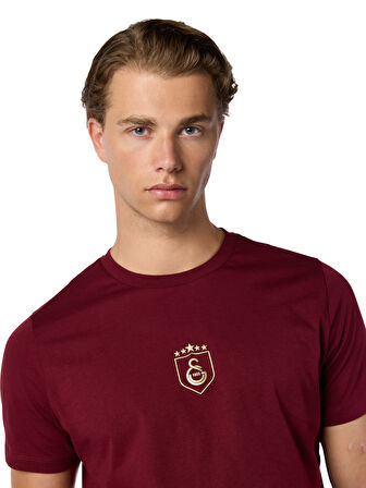Galatasaray 5 Yıldız T-shirt E251393