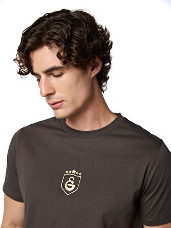 Galatasaray 5 Yıldız T-shirt E251393