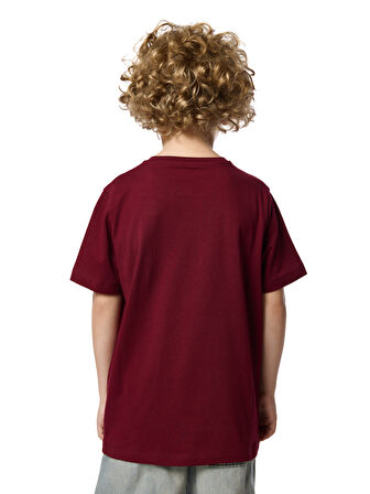 Galatasaray 5 Yıldız Çocuk T-shirt C251393