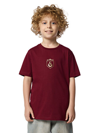 Galatasaray 5 Yıldız Çocuk T-shirt C251393