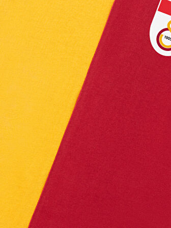 Galatasaray Parçalı 5 Yıldızlı Çocuk T-Shirt C251440