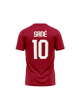 Galatasaray Leroy Sane Welcome Tee E251498