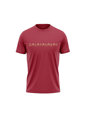 Galatasaray 5 Yıldız T-Shirt E251501