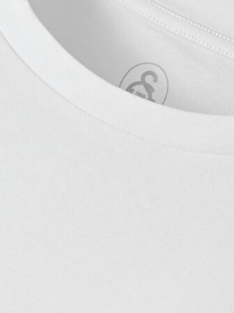 Galatasaray Premium Basic T-Shirt E251136