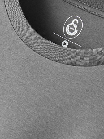 Galatasaray Premium Basic T-Shirt E251136