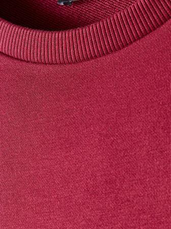 Galatasaray Premium Basic Sweat E251139