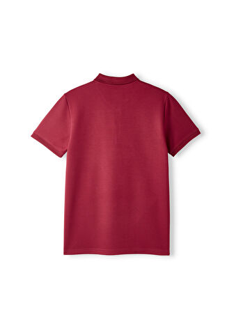 Galatasaray Premium Basic Polo T-Shirt E251133