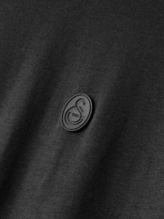 Galatasaray Premium Basic T-Shirt E251135