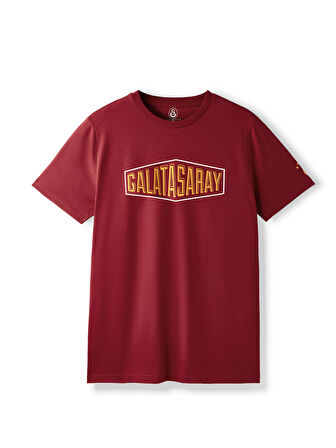 Galatasaray Erkek T-Shirt E252097