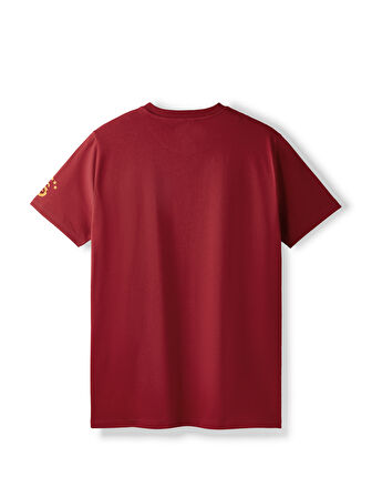 Galatasaray Erkek T-Shirt E252097