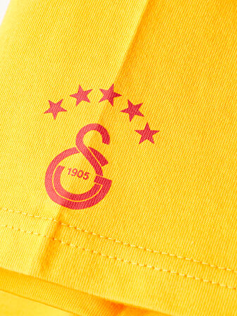 Galatasaray Erkek T-Shirt E252097