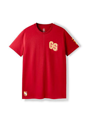 Galatasaray Erkek T-Shirt E252098