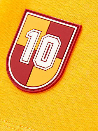 Galatasaray Erkek T-Shirt E252098