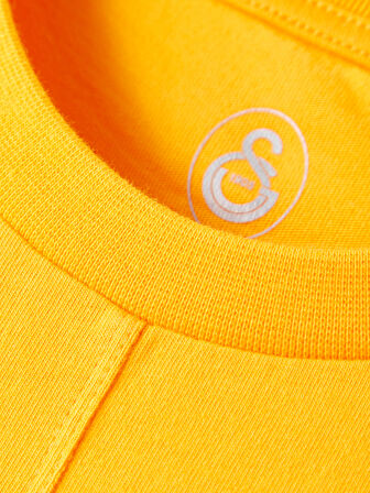 Galatasaray Erkek T-Shirt E252098