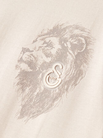 Galatasaray Erkek T-Shirt E252100