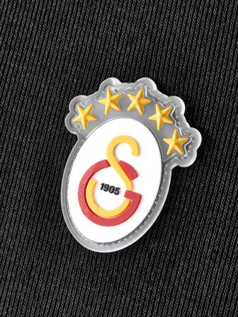 Galatasaray Erkek Polo T-Shirt E252103