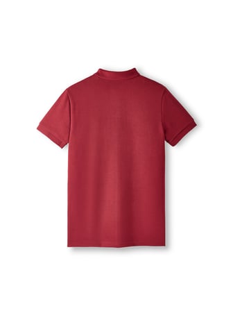 Galatasaray Erkek Polo T-Shirt E252103