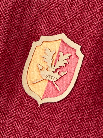 Galatasaray Erkek T-Shirt E252105