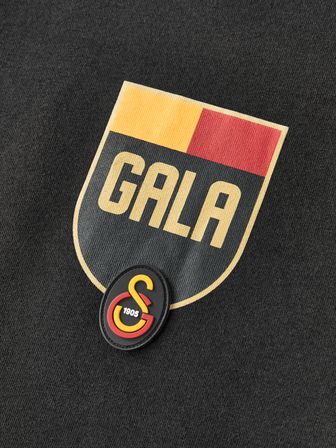 Galatasaray Erkek Sweatshirt E252106
