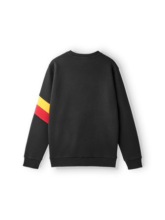 Galatasaray Erkek Sweatshirt E252106