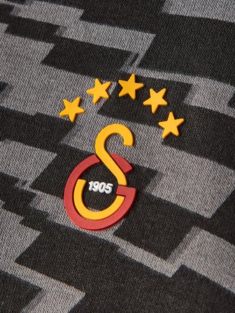 Galatasaray Erkek Hoodie E252110