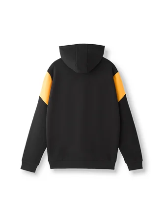 Galatasaray Erkek Hoodie E252112