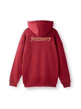 Galatasaray Erkek Hoodie E252136