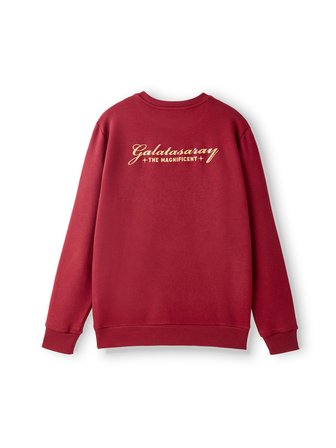 Galatasaray Erkek Sweatshirt E252137