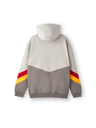 Galatasaray Erkek Hoodie E252142