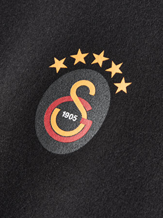 Galatasaray Kadın T-Shirt K252101