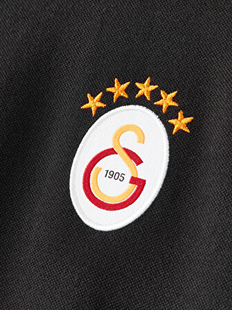 Galatasaray UCL Erkek T-Shirt E252220
