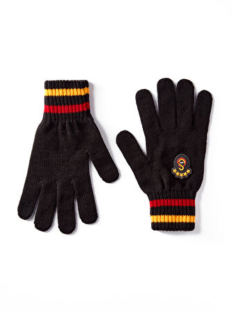 Galatasaray 5 Yıldız Eldiven U252198