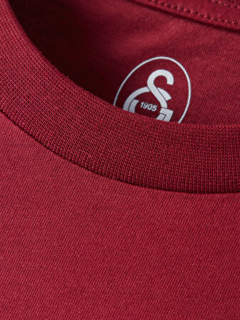 Galatasaray Erkek Ata İmza T-Shirt E251279