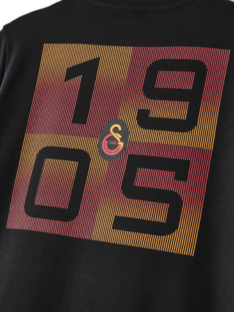 Galatasaray Erkek T-Shirt E261079