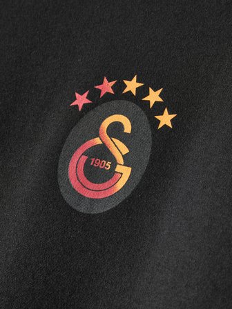 Galatasaray Erkek T-Shirt E261079
