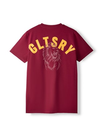 Galatasaray Erkek T-Shirt E261085