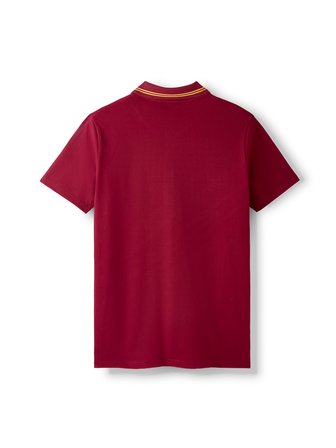 Galatasaray Erkek Polo T-Shirt E261049