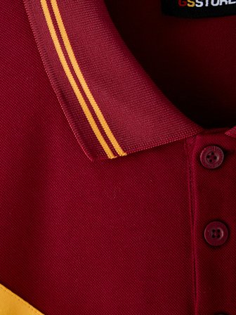 Galatasaray Erkek Polo T-Shirt E261049