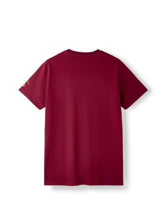 Galatasaray Erkek T-Shirt E261086