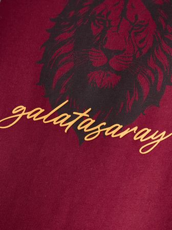 Galatasaray Erkek T-Shirt E261086