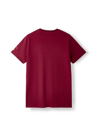 Galatasaray Erkek T-Shirt E261086