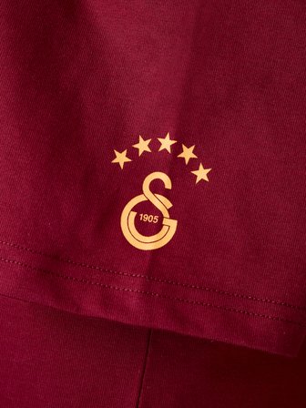 Galatasaray Erkek T-Shirt E261086