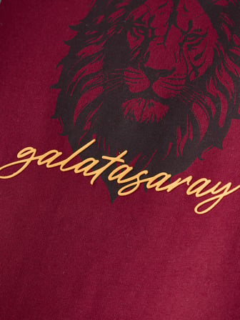 Galatasaray Erkek T-Shirt E261086