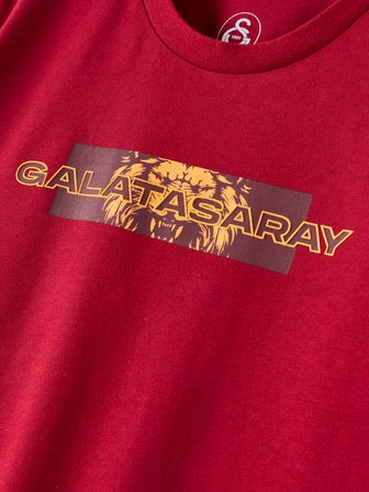 Galatasaray Erkek T-Shirt E261039