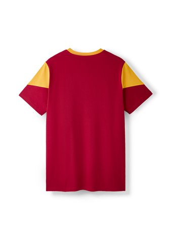 Galatasaray Erkek T-Shirt E261040