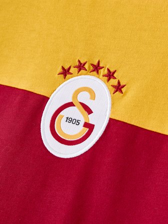 Galatasaray Erkek T-Shirt E261040