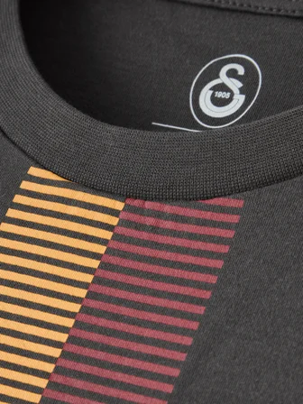 Galatasaray Erkek T-Shirt E261078