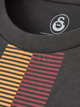 Galatasaray Erkek T-Shirt E261078